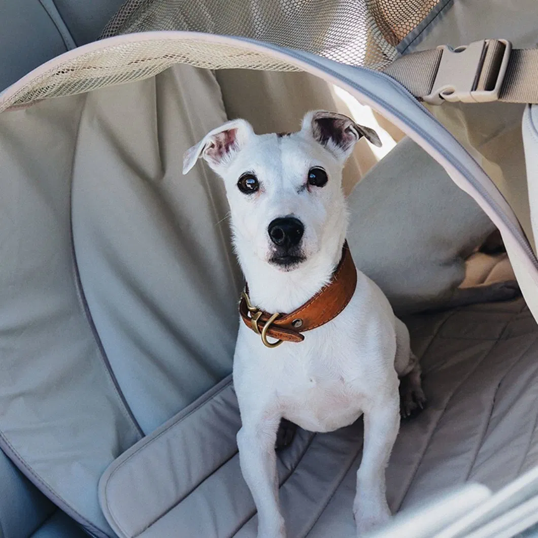 Round Eco Friendly Foldable Sofa Dog Car Seat Bed Car Transportation House Dog Bed